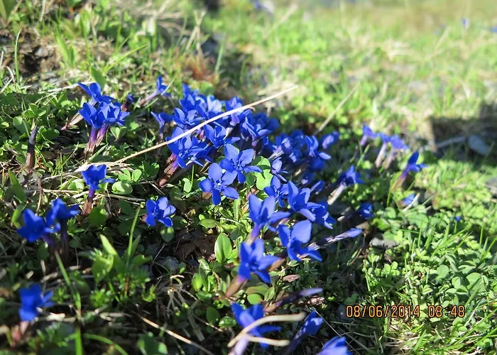 アパート Active *